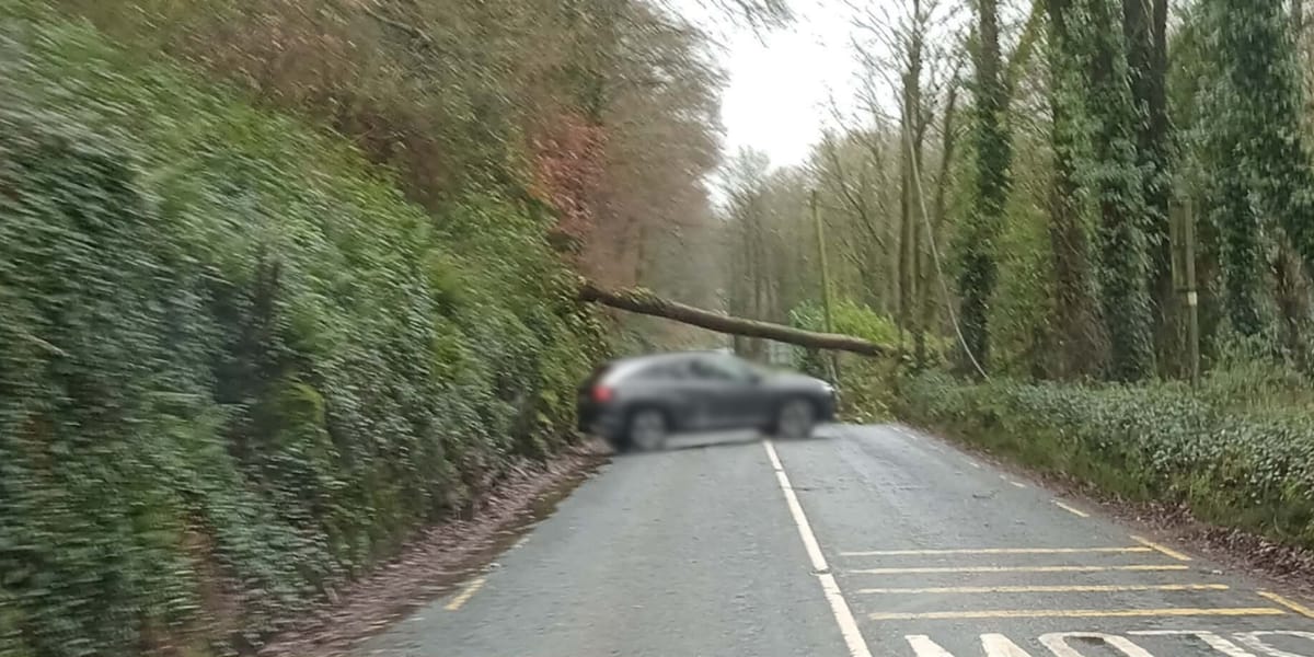 Tree Down on R579 Leemount/Cloghroe