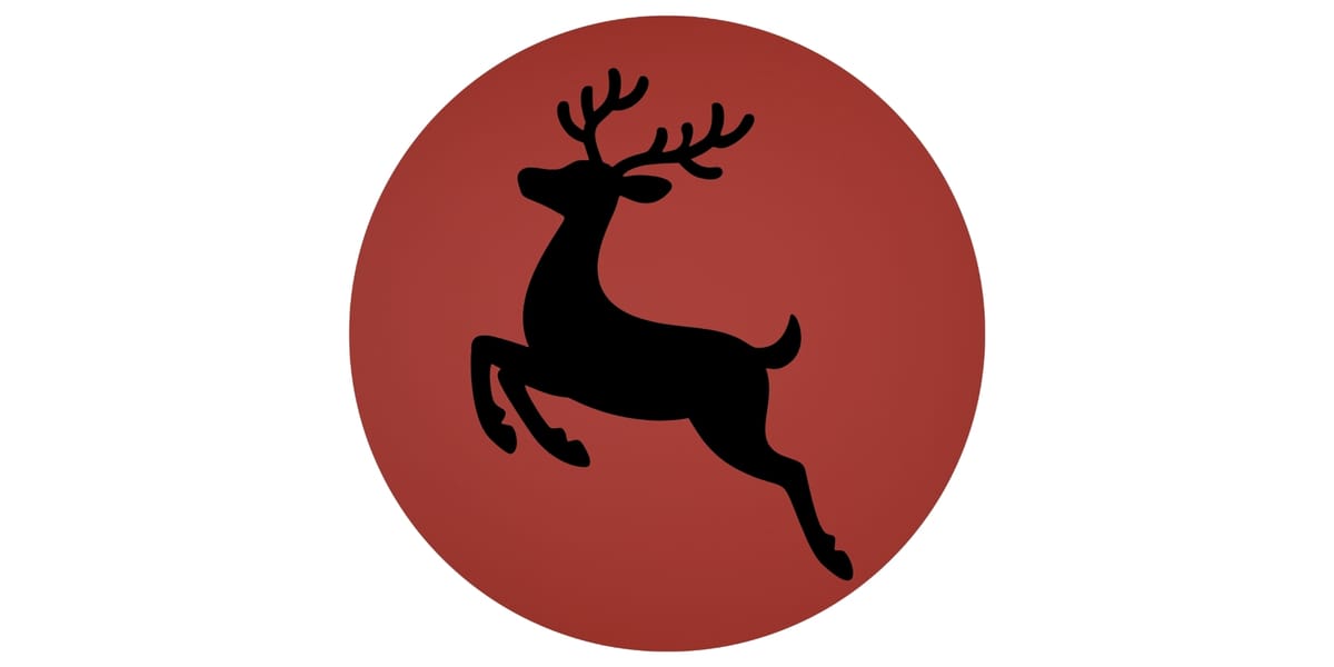 ✨ Low Flying Reindeer 🦌 on N40 EB