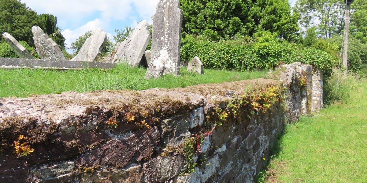 €7.5 Million Fund Opens for Cork's Archaeological Heritage Conservation