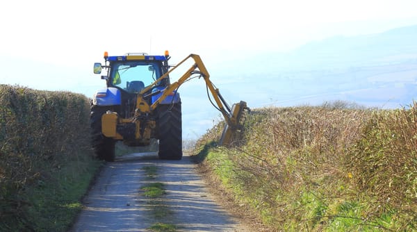 Landowners Urged to Cut Overgrown Hedges to Improve Road Safety