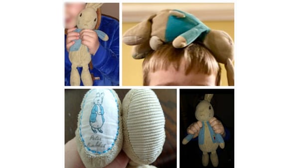 Appeal: Help Find a Missing Peter Rabbit Teddy Lost on Ryanair Flight from Lanzarote to Cork