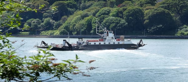 Cross River Ferry Suspended
