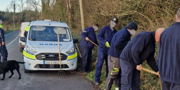 Gardaí Recover Significant Number of Firearms in Templemichael Woods